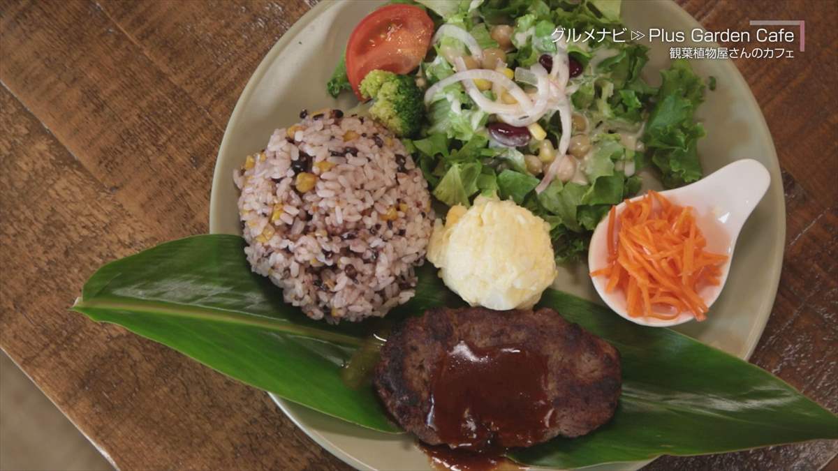 ウィンウィン 2024年1月27日放送　Plus Garden Cafe