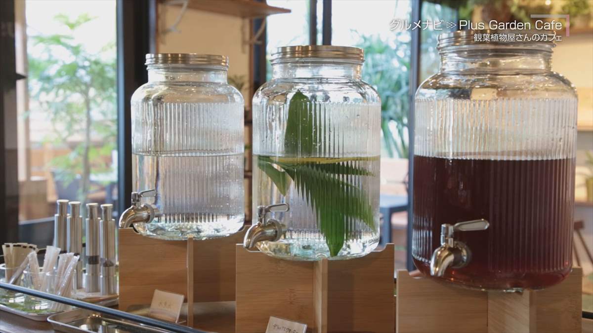 ウィンウィン 2024年1月27日放送　Plus Garden Cafe