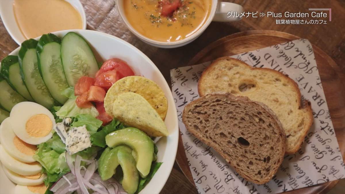 ウィンウィン 2024年1月27日放送　Plus Garden Cafe