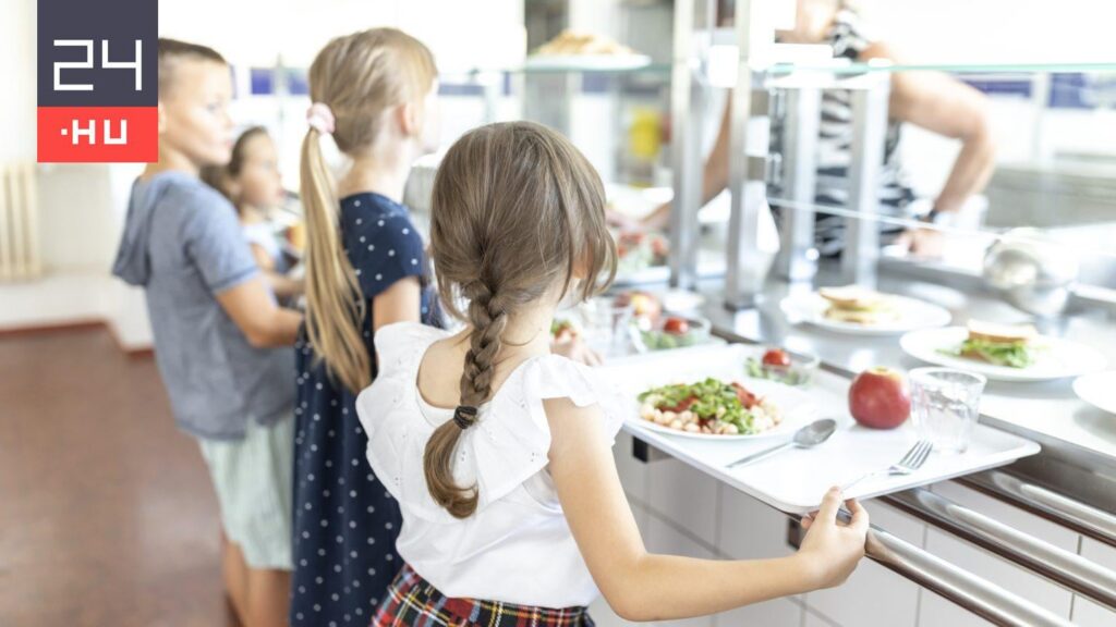子供たちとシェフは食堂に昼食時にグラスファイバーがあったと言っていますが、彼らは一番上で食べ物を使い続けました