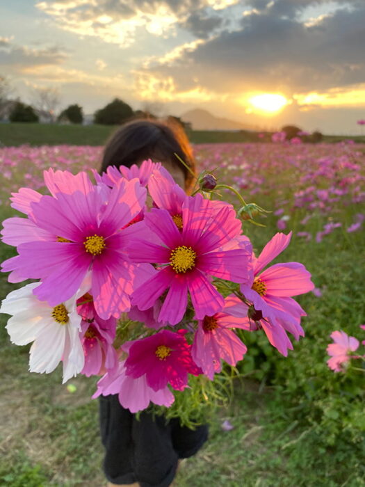 由良川花庭園