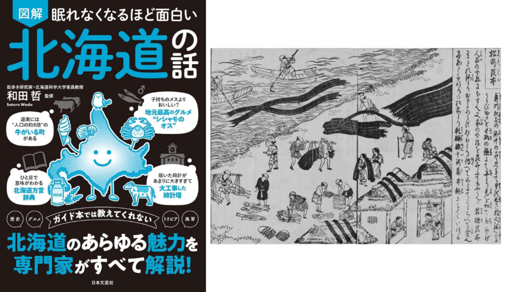 昆布は作るけど食べない!? 北海道民と昆布の“不思議な関係”【眠れなくなるほど面白い 図解 北海道の話】 - ラブすぽ