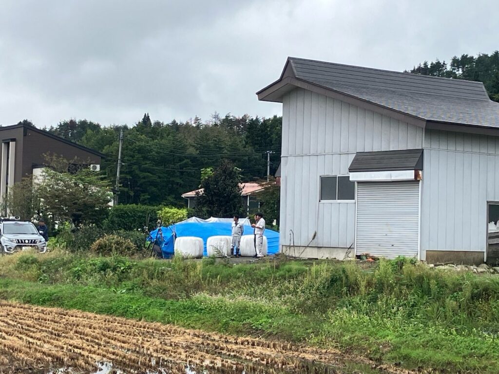 共有