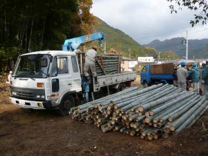 竹市場イメージ写真