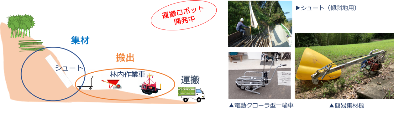 研究のイメージ図