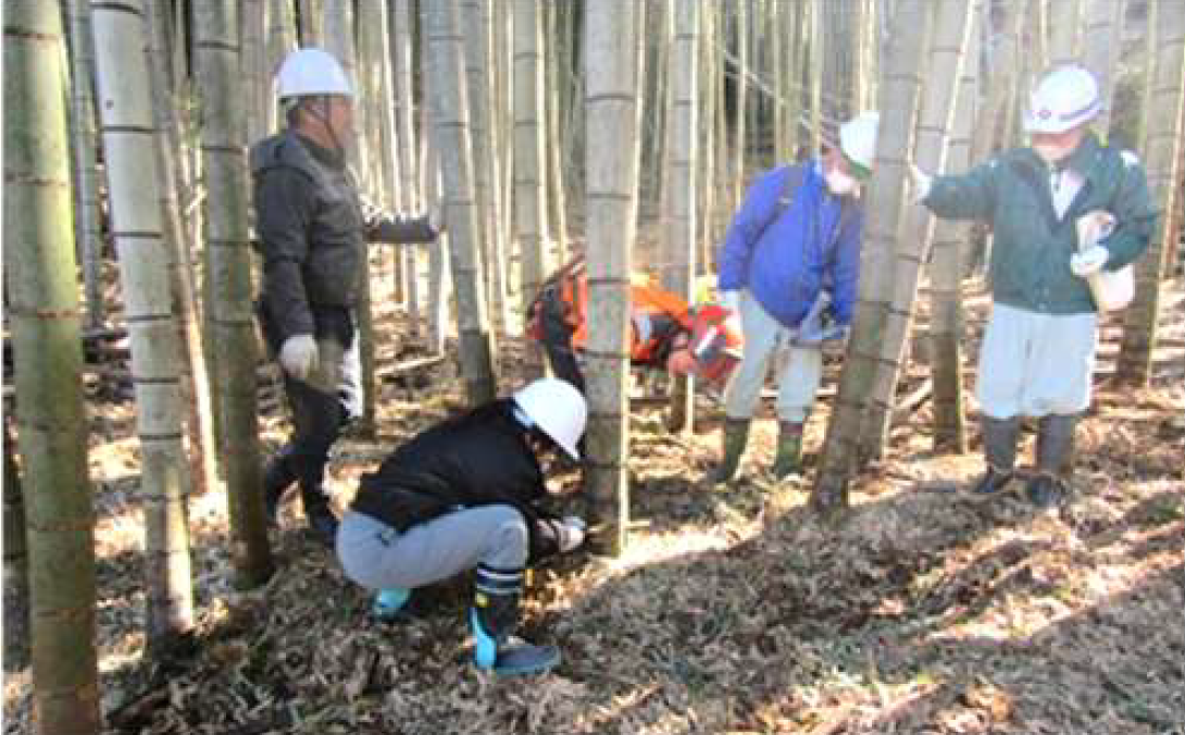 竹林経営マイスター研修イメージ