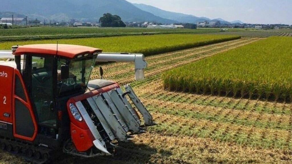 JAでも卸売業者のせいでもない｢コメ価格高騰｣の真犯人が判明…現役農家が明かした｢コメが消えた本当の理由｣ 生産現場が直面する｢気候変動｣と｢農業統計｣二つの大問題