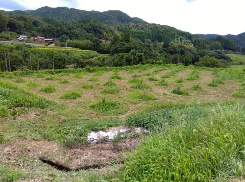 県外・異業種から地域山椒農業のチャレンジへ　　　　　　　　　　株式会社SusanohBeyondFarmが島根県出雲市の認定農業者として認定 | 株式会社 Susanoh Beyond Farmのプレスリリース