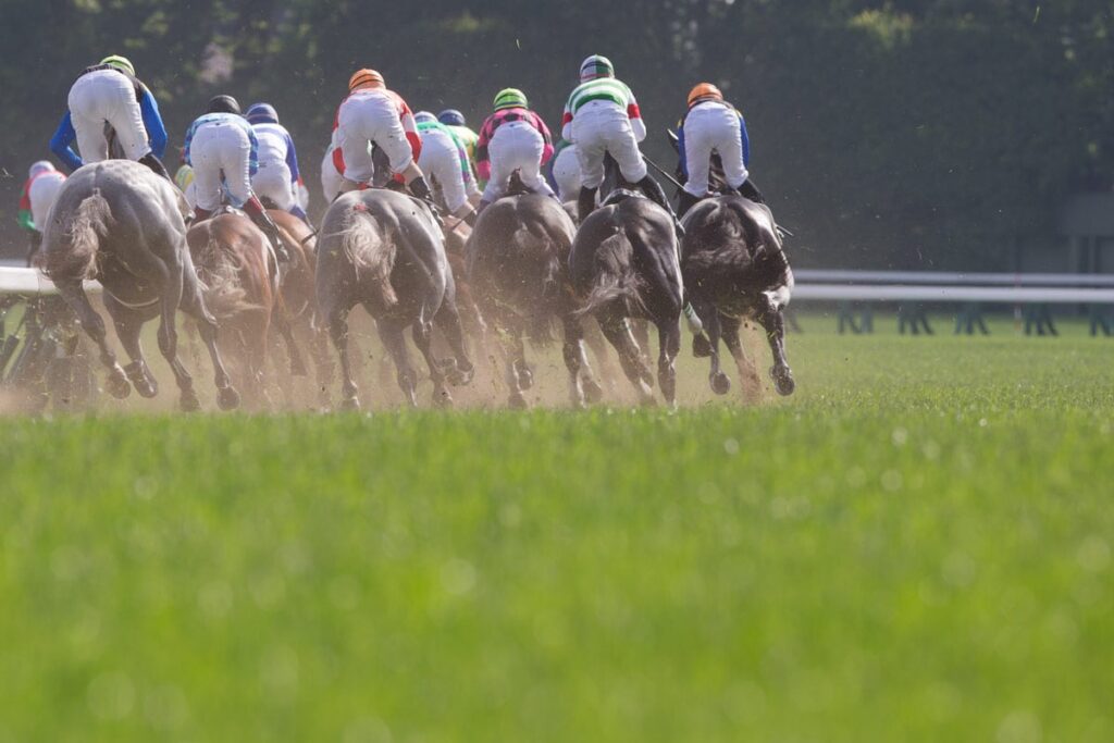 【秋華賞／馬場情報】土曜時点では“前残り”顕著も……当日午前は雨予報で直前まで要チェック