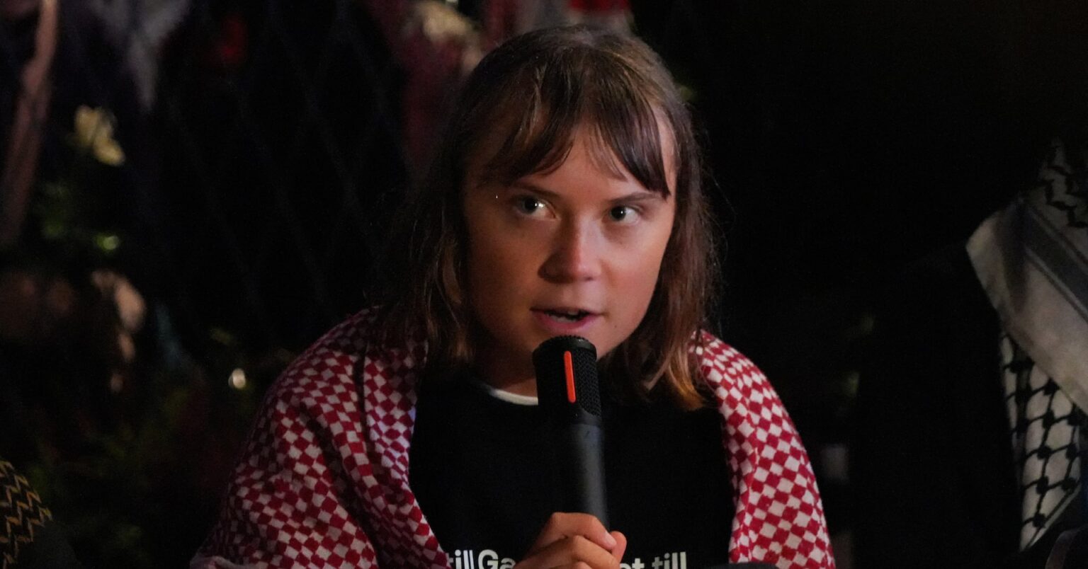 グレタさん「イスラエルの刑務所で虐待」、清潔な水与えられず | ロイター