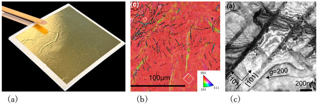金沢金箔の中で起きていた奇妙な現象を電子顕微鏡が捉えた