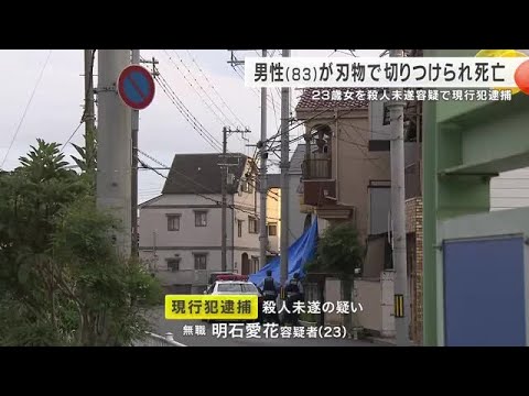 【速報】警察官の目の前で刃物で男性の首を切りつけ 23歳女を殺人未遂容疑で現行犯逮捕 兵庫・尼崎 【速報】警察官の目の前で刃物で男性の首を切りつけ 23歳女を殺人未遂容疑で現行犯逮捕 兵庫・尼崎