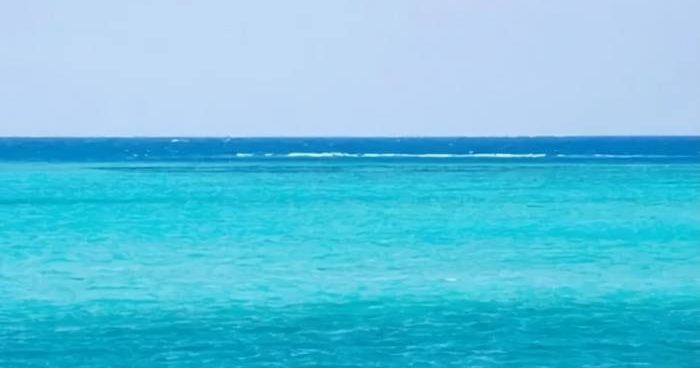 沖縄・糸満市の沖で女性の遺体　Tシャツに半ズボン、50～60代か　海保が身元特定進める - 琉球新報デジタル