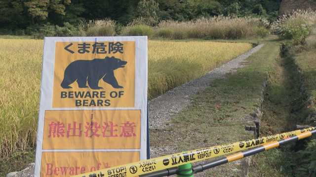 「クマの目撃情報は例年の3倍｣ 岐阜・白川郷けが人で警戒 でも外国人観光客は「宝くじで1等に当たる確率の方が高いわ」