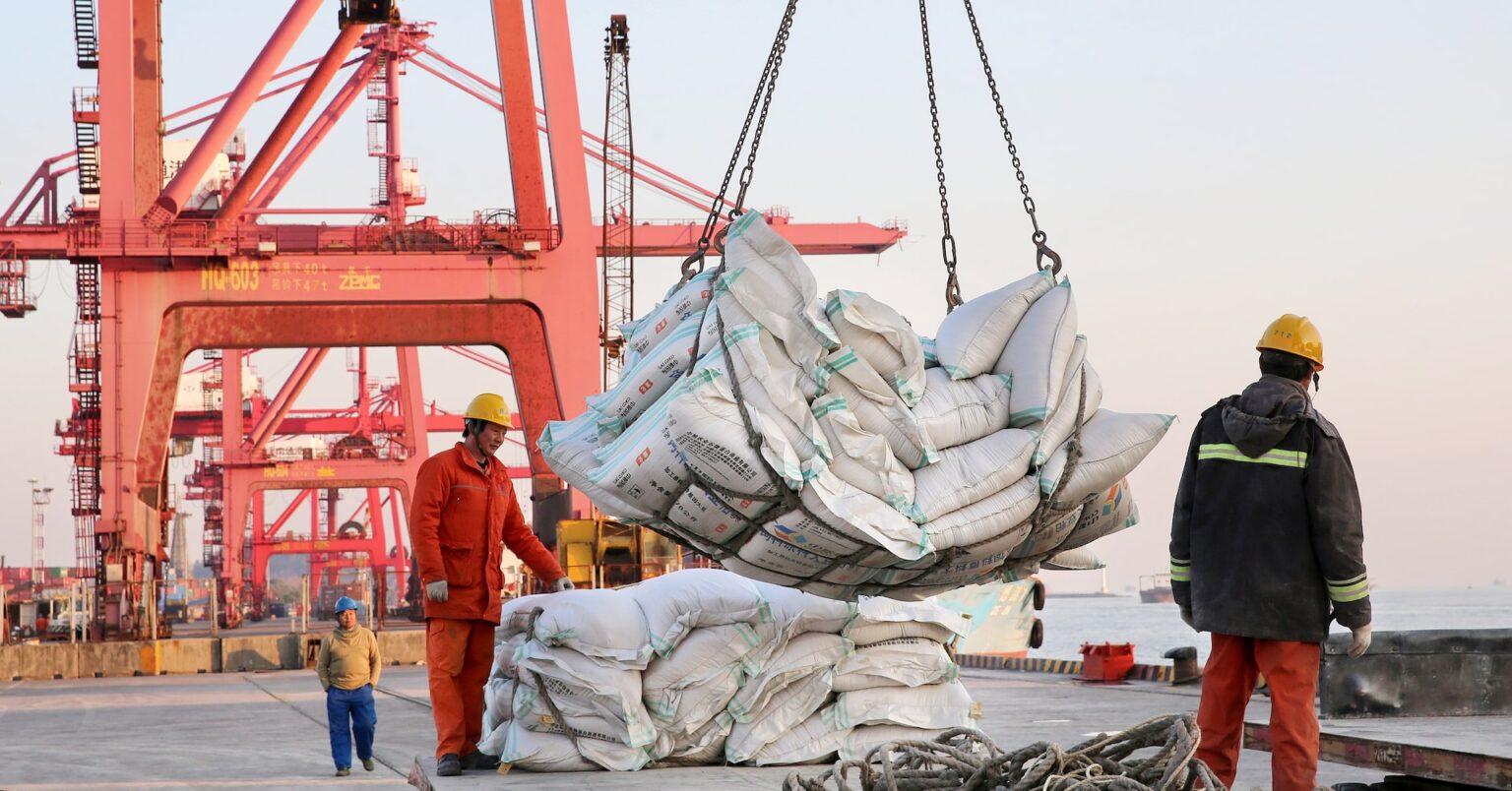 中国の大豆調達に遅れ、ブラジル産高騰で　備蓄放出も＝関係筋 | ロイター