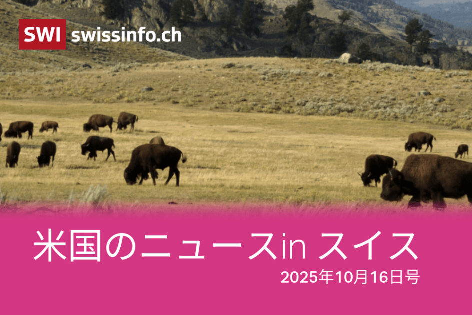 ガザ停戦、トランプ関税、バイソン…スイスのメディアが報じた米国のニュース - SWI swissinfo.ch