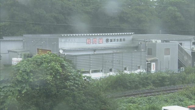 魚加工で出た廃棄物やノルマルヘキサン含む汚水を海に排出した疑い 水産加工会社を書類送検 三重・尾鷲海上保安部