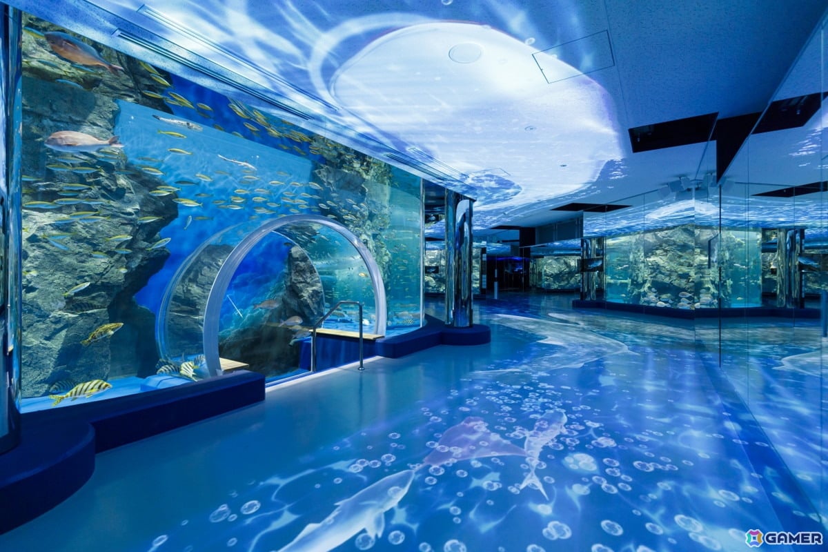 「ラブライブ！蓮ノ空女学院スクールアイドルクラブ」×石川県コラボ第4弾が10月31日より開催！「謎解き」や「のとじま水族館」コラボなどを展開の画像