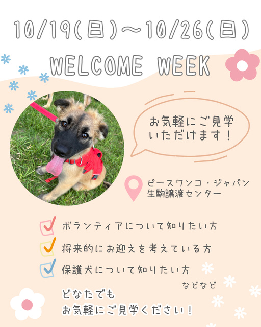 WELCOME WEEK(生駒譲渡センター)
