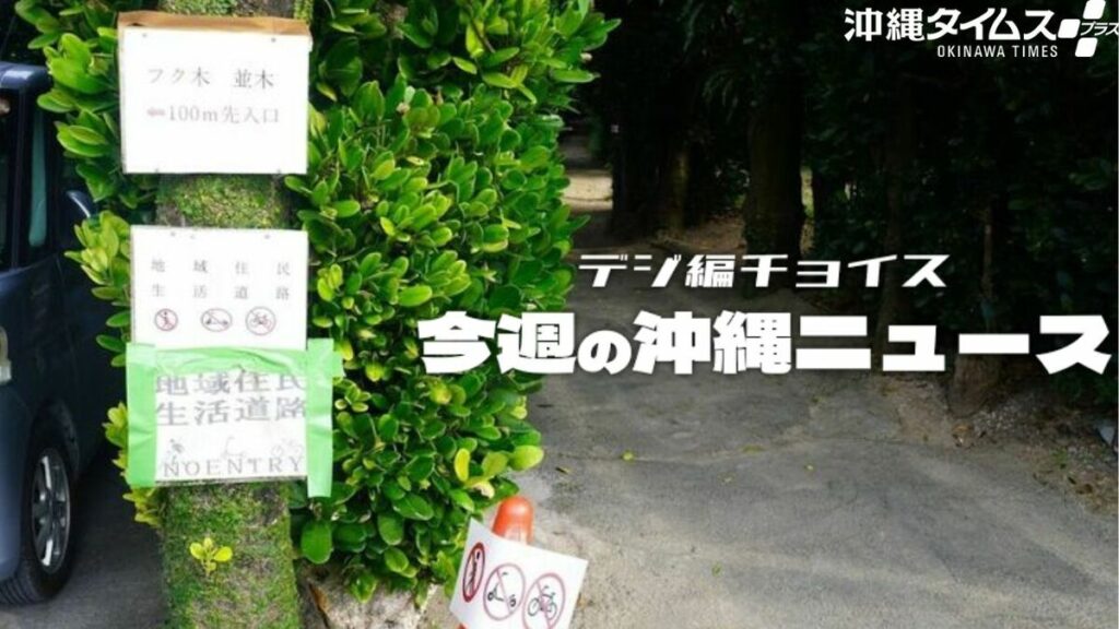 「いつか大事故が起きる」 沖縄の“絶景集落”を悩ます問題【10月11日～17日 タイムス＋プラスから】 | デジ編チョイス