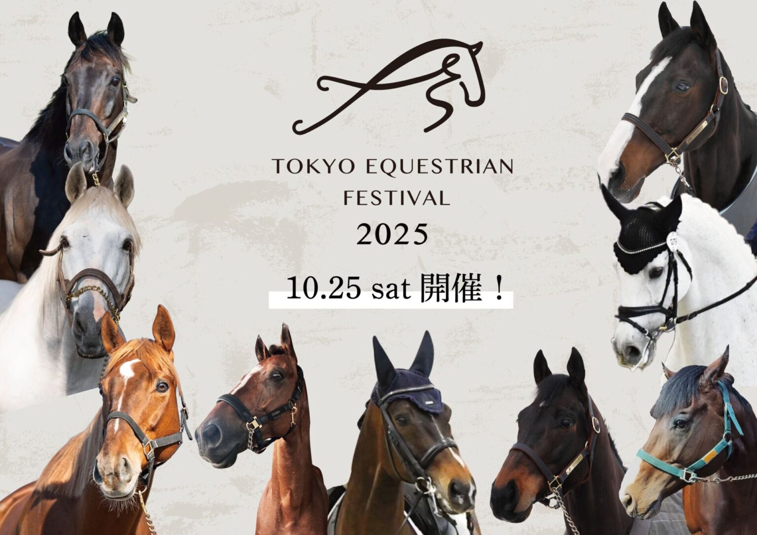 ダンビュライトやクリノガウディーも競演…引退競走馬が東京の舞台に集結する「Tokyo Equestrian Festival 2025」開催（競馬のおはなし） - Yahoo!ニュース