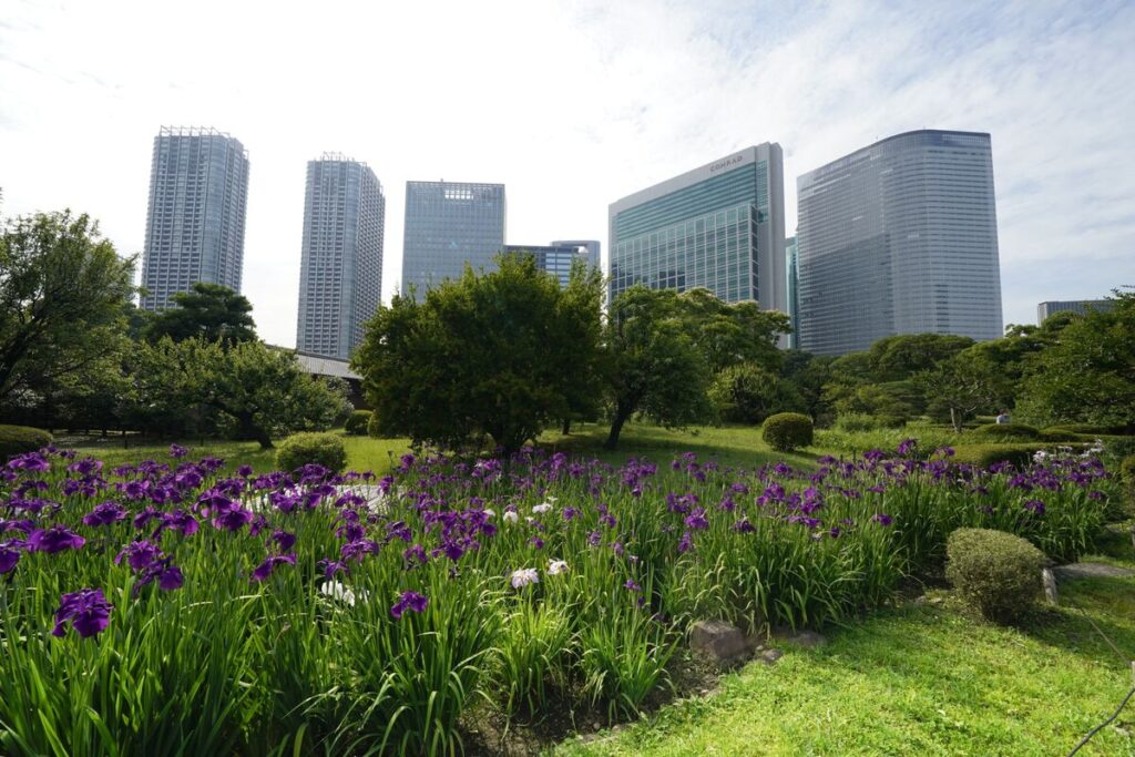 債券は上昇へ、米長期金利が低下－高市政権下の財政拡張懸念も後退 - Bloomberg