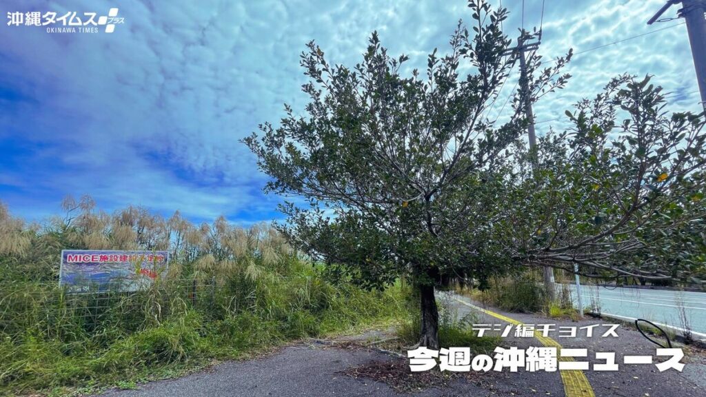 構想から10年以上、沖縄県の「大型MICE施設」建設予定地はいま【10月18日～24日 タイムス＋プラスから】 | デジ編チョイス | 沖縄タイムス＋プラス