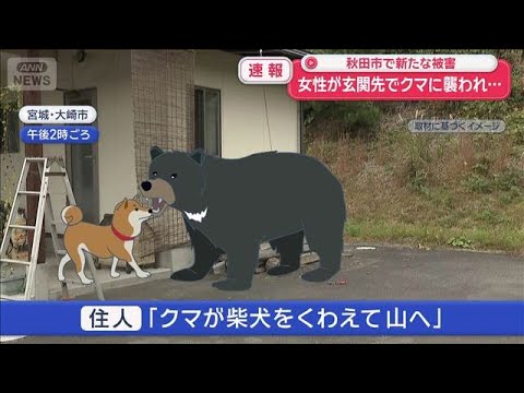 【速報】女性が玄関先でクマに襲われ… 秋田市で新たな被害【スーパーJチャンネル】(2025年10月25日) 【速報】女性が玄関先でクマに襲われ… 秋田市で新たな被害【スーパーJチャンネル】(2025年10月25日)