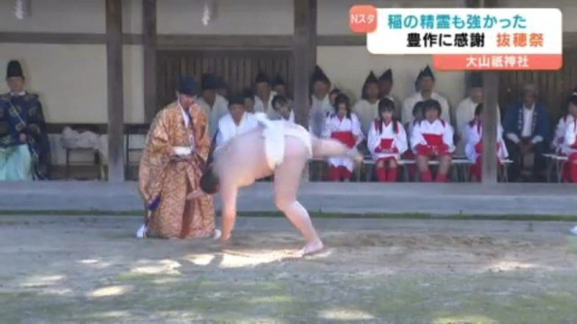 大山祇神社で600年以上の伝統持つ抜穂祭 秋の豊作に感謝し稲の精霊相手に一人角力も奉納【愛媛･今治市】
