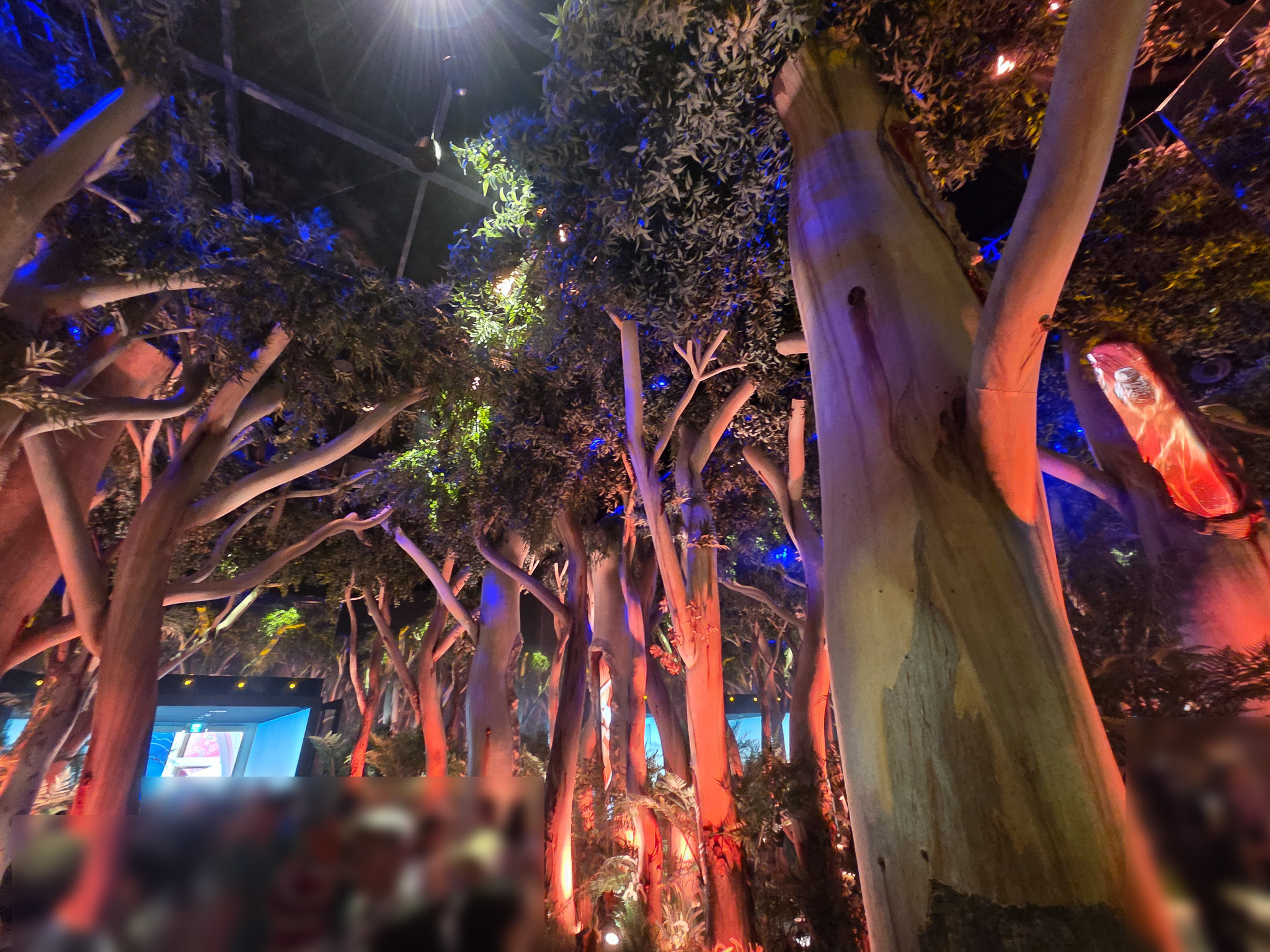 オーストラリア館は雄大な自然をデジタル技術と装飾によって体感できる展示だった