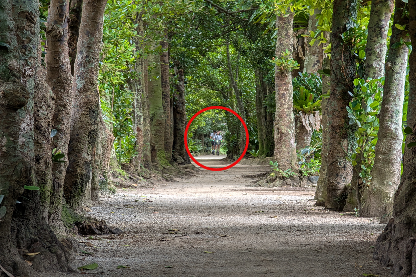 「消しゴムマジック」使用前