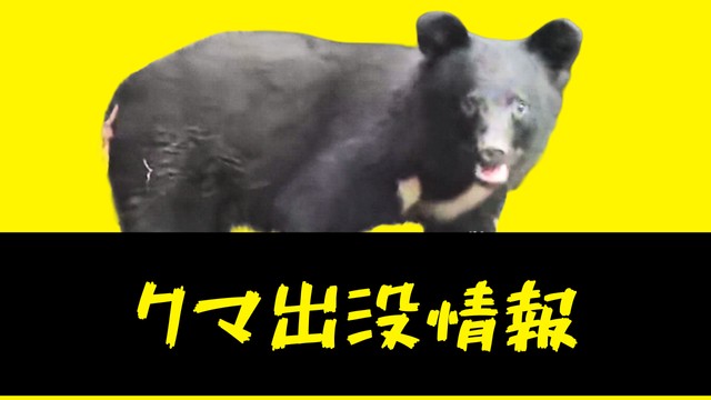 【クマ出没情報】9月30日 新青森県総合運動公園から南東の県道上でクマ2頭目撃（青森市滝沢）（青森放送） - Yahoo!ニュース - Yahoo!ニュース