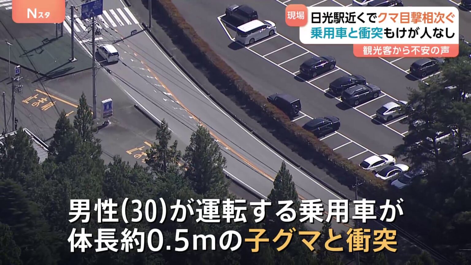 栃木・日光に“サル”ではなく“クマ” 「人が多いところにも出るとは…」秋の行楽シーズンに親子グマなど目撃相次ぐ（TBS NEWS DIG Powered by JNN）