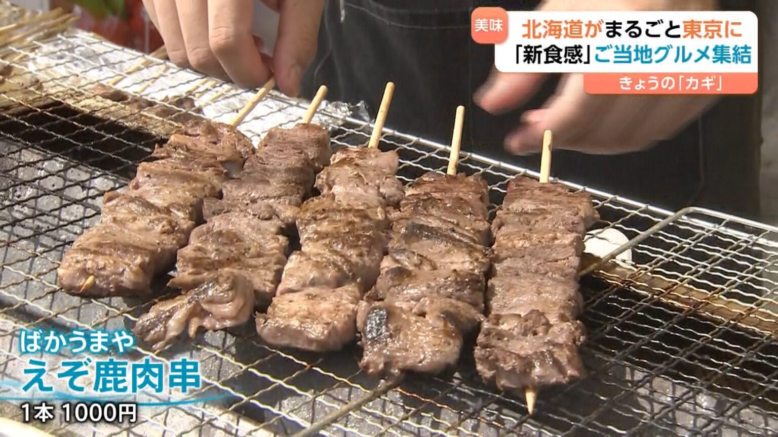 「大地の味がします」北海道グルメがまるごと東京に集結！エゾシカ肉・たこザンギ“現地でしか食べられない”ご当地グルメが勢ぞろい（TBS NEWS DIG Powered by JNN）