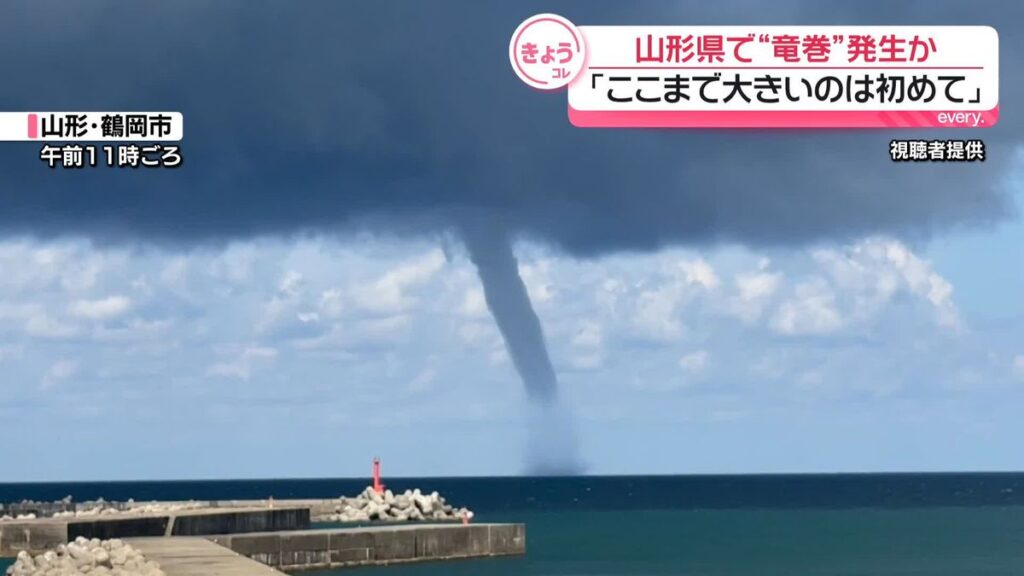 日本テレビ放送網