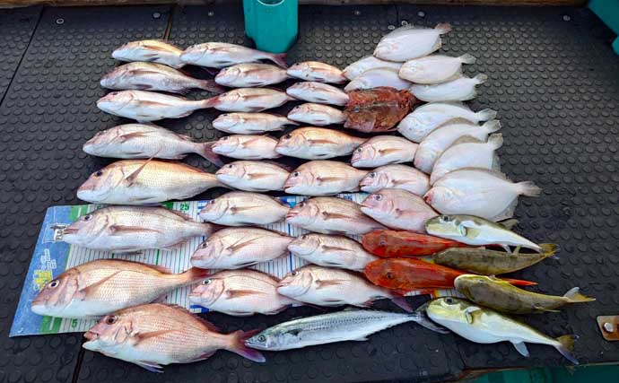 【沖釣りルアー釣果速報】ジギング便でメーターオーバー11kg超オオニベを手中！（愛知・三重）