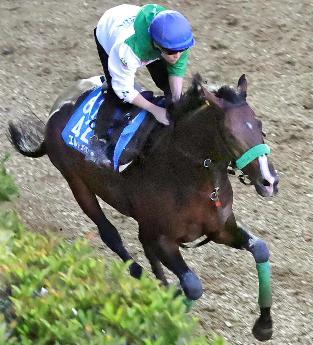 馬トク激走馬に計算されたエルトンバローズ（カメラ・岩川　晋也）