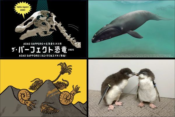 北海道もヒマラヤも海だった 「AOAO SAPPORO」で恐竜と海の物語展（オーヴォ） - Yahoo!ニュース