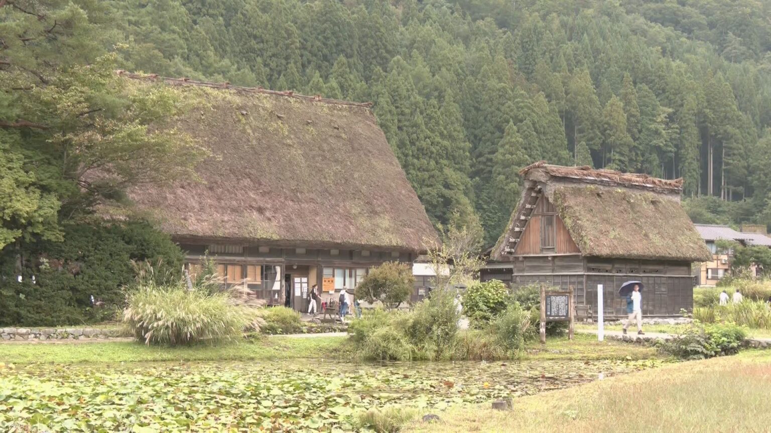 写真撮影中 茂みの中から熊が… 世界遺産・白川郷でスペイン人観光客が熊に襲われケガ きょうもワナ設置など厳戒態勢 観光への影響も懸念 岐阜（CBCテレビ）