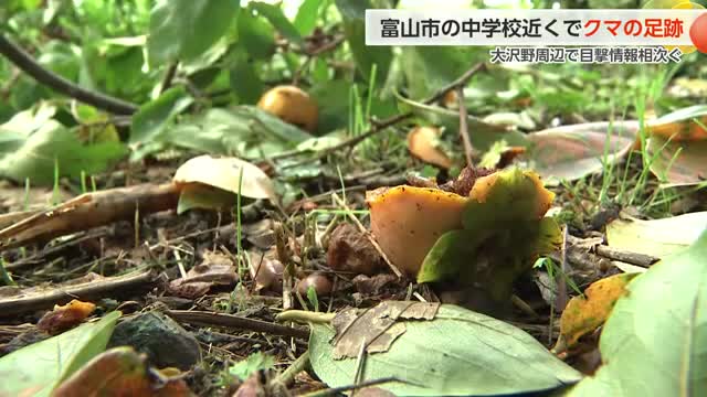富山市坂本の住宅街からわずか50メートルにクマの足跡と爪痕、近隣学校は下校時間繰り上げ対応（富山テレビ） - Yahoo!ニュース - Yahoo!ニュース
