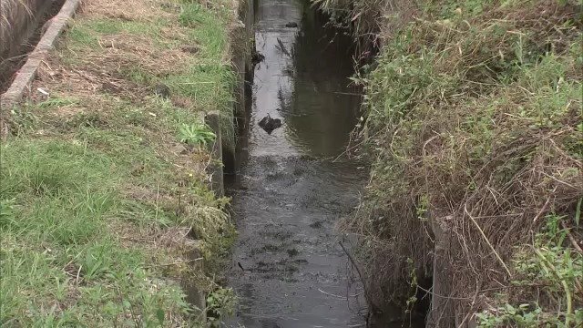 「三輪自転車にまたがったまま倒れている」 81歳女性が死亡 電動アシスト自転車で転落か 岐阜・山県市（CBCテレビ） - Yahoo!ニュース