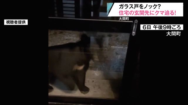 クマが玄関のガラス戸にぶつかる 町内の目撃は前年の5倍以上に 青森県大間町（青森放送） - Yahoo!ニュース - Yahoo!ニュース