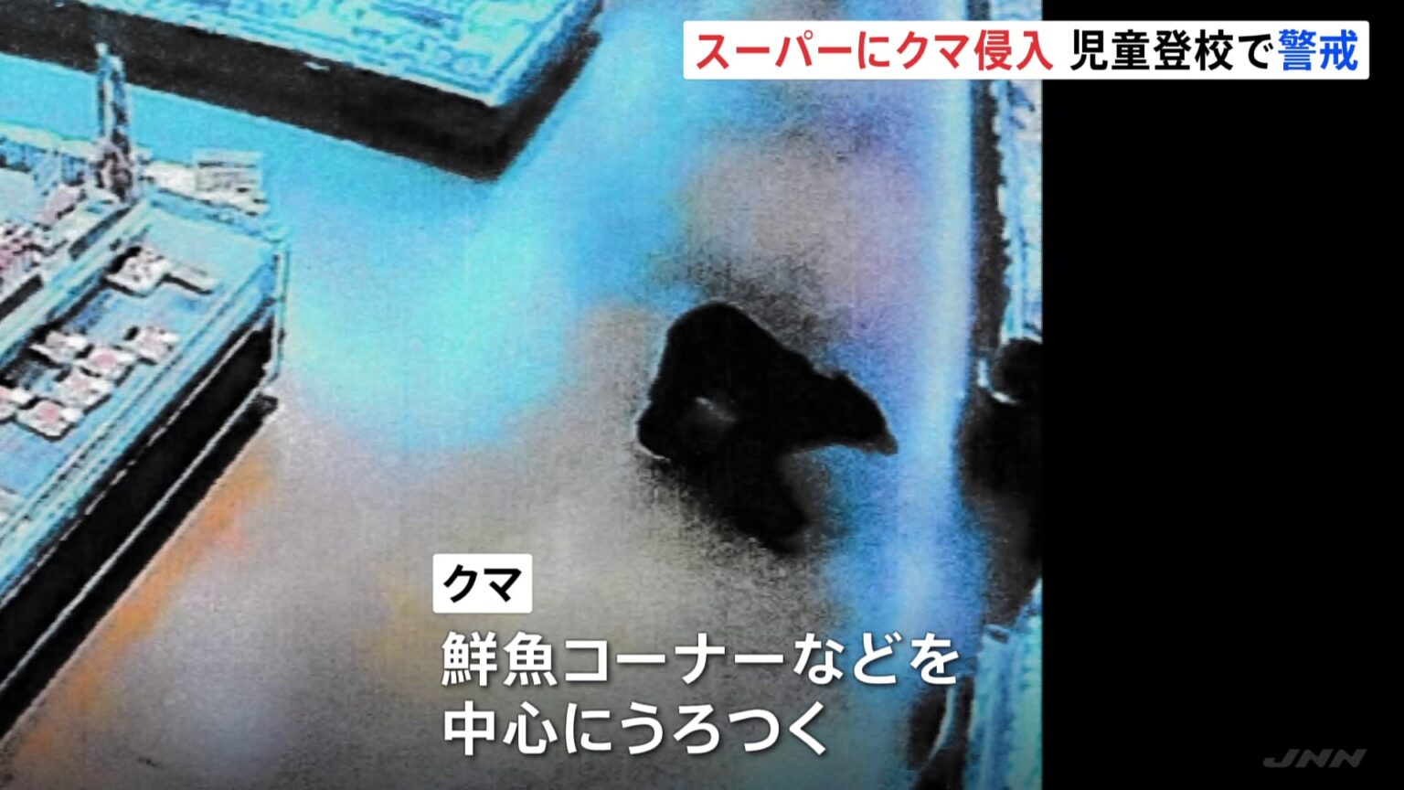 スーパーに体長約1.4メートルのクマ侵入　客の男性2人襲われ軽傷　警察官が児童登校を見守るなど警戒続く　群馬・沼田市（TBS NEWS DIG Powered by JNN）