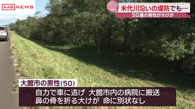 秋田県内でクマ被害相次ぐ 大館市では堤防を散歩中の男性がクマに襲われけが（秋田朝日放送） - Yahoo!ニュース - Yahoo!ニュース