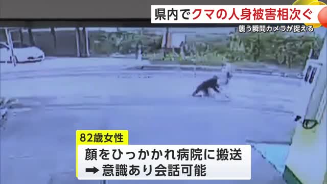 襲う瞬間が防犯カメラに クマの人身被害相次ぐ 大仙市と大館市で散歩中の人が襲われけが 秋田（秋田テレビ） - Yahoo!ニュース - Yahoo!ニュース