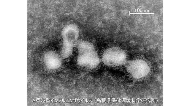 インフルエンザが島根県でも流行シーズン入り 松江や出雲など東部で報告数が急増（TSKさんいん中央テレビ） - Yahoo!ニュース - Yahoo!ニュース
