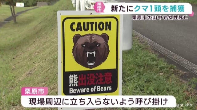 クマが襲撃 宮城県の栗原市と大崎市でクマを捕獲（khb東日本放送） - Yahoo!ニュース