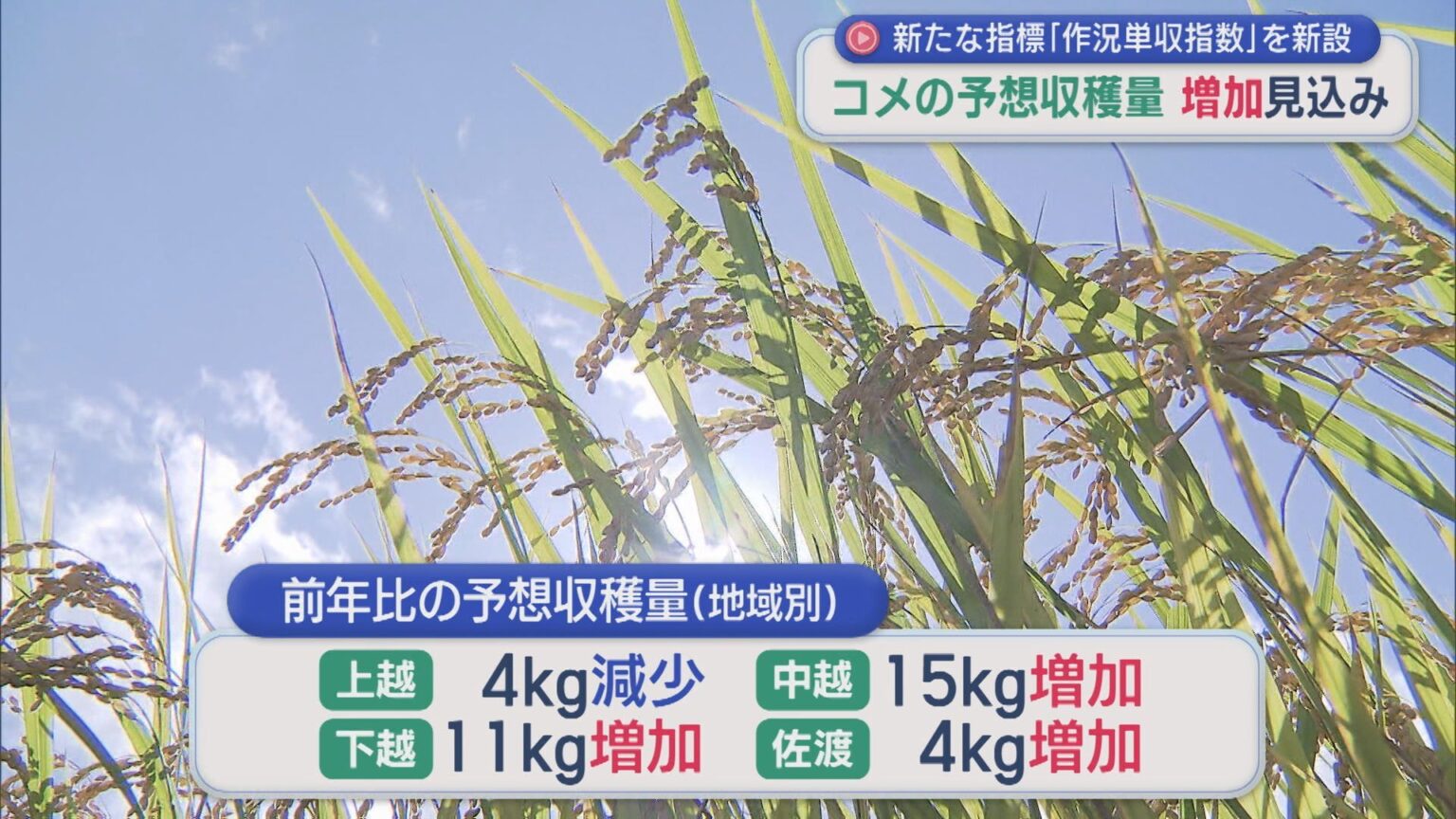 新たな指標「作況単収指数」を新設、コメの予想収穫量 前年産より増加見込み【新潟】（UX新潟テレビ21） - Yahoo!ニュース