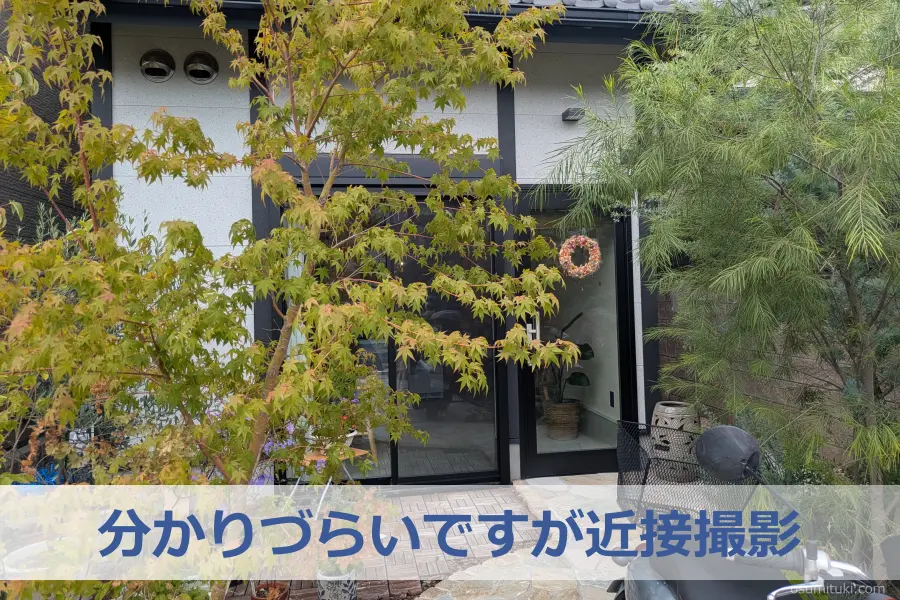 分かりづらいですが近接撮影