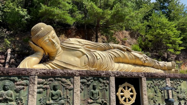 “寺密度日本一”大阪府、仏像の多い寺ランキング　“オーケストラ菩薩”＆亀に乗った千手観音像が登場 | ORICON NEWS | 国内海外のニュース